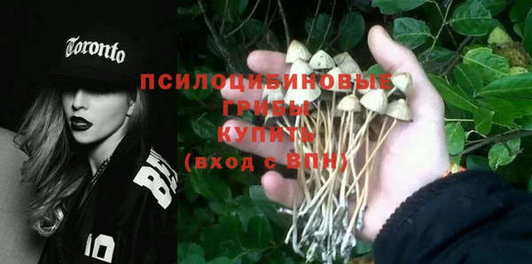 гашик Волоколамск